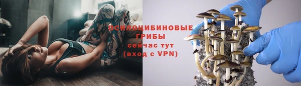 трава Алзамай