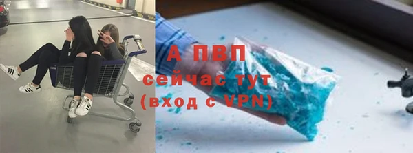 спиды Арсеньев