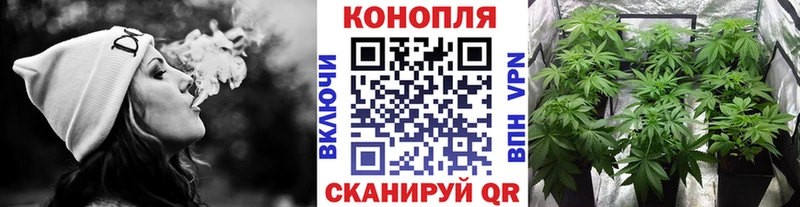 продажа наркотиков  Медынь  Бошки Шишки семена 